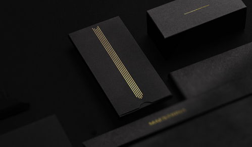 巴西商業(yè)咨詢公司Maestrina的品牌設計與教育管理咨詢服務