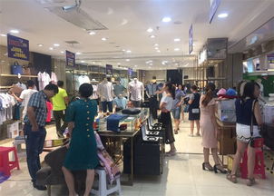 安徽發(fā)現(xiàn)之光教育信息咨詢 照亮成長之路的專業(yè)引航